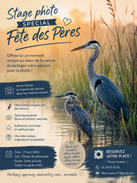 Stage photo spécial fête des pères