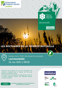 Les nocturnes de la réserve naturelle