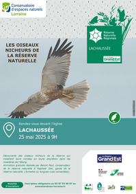 Les oiseaux nicheurs de la réserve naturelle