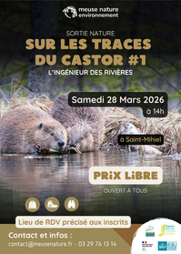 Sortie nature : sur les traces du castors