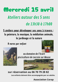 Ateliers autour des cinq sens