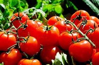 MARCHÉ DE PRODUCTEURS