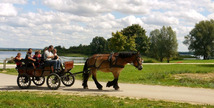 Haras de Madine - Heudicourt-sous-les-Côtes