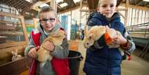 Ferme pédagogique de Woimbey - Woimbey