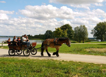 Haras de Madine - Heudicourt-sous-les-Côtes