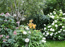 Jardin sous les côtes - Apremont-la-Forêt