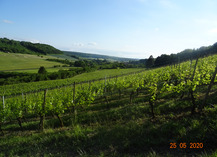 Domaine de Meussaumont - Vigneulles-lès-Hattonchâtel