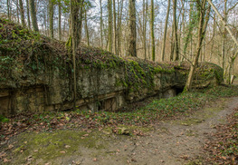 Hôpital allemand de la forêt de Gobessart - Apremont-la-Forêt