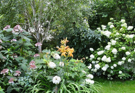 Jardin sous les côtes - Apremont-la-Forêt
