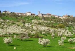 Village remarquable d'Hattonchâtel - Vigneulles-lès-Hattonchâtel