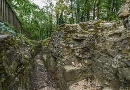 Tranchées du bois brûlé et croix des redoutes - Apremont-la-Forêt