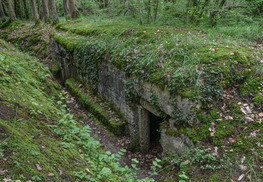 Bois d'Ailly - Tranchée de la Soif - Han-sur-Meuse