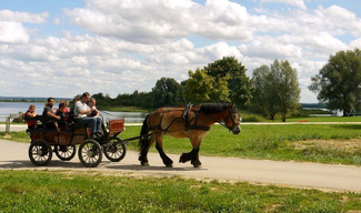 Haras de Madine - Heudicourt-sous-les-Côtes