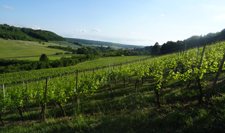 Domaine de Meussaumont - Vigneulles-lès-Hattonchâtel