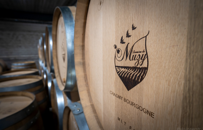 Domaine de Muzy 4 - Combres-sous-les-Côtes