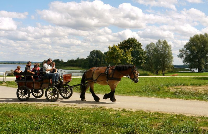 Haras de Madine 1 - Heudicourt-sous-les-Côtes