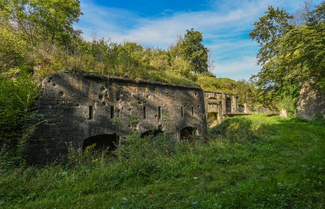 FORT DE LIOUVILLE 2 - Apremont-la-Forêt