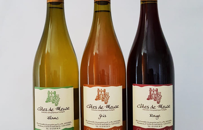 Domaine de la Goulotte 1 - Saint-Maurice-sous-les-Côtes