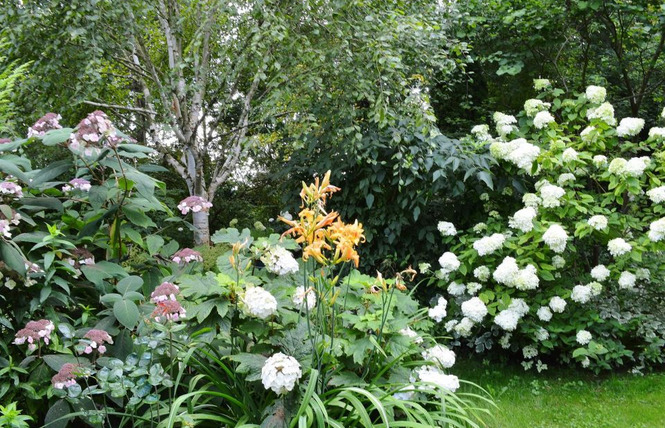 Jardin sous les côtes 1 - Apremont-la-Forêt