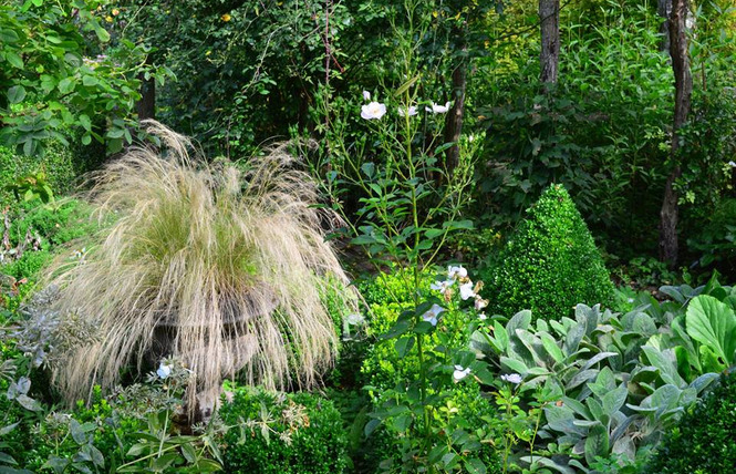 Jardin sous les côtes 3 - Apremont-la-Forêt