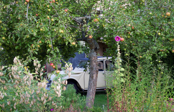 Chambres d'hôtes le paradis 5 - Buxières-sous-les-Côtes
