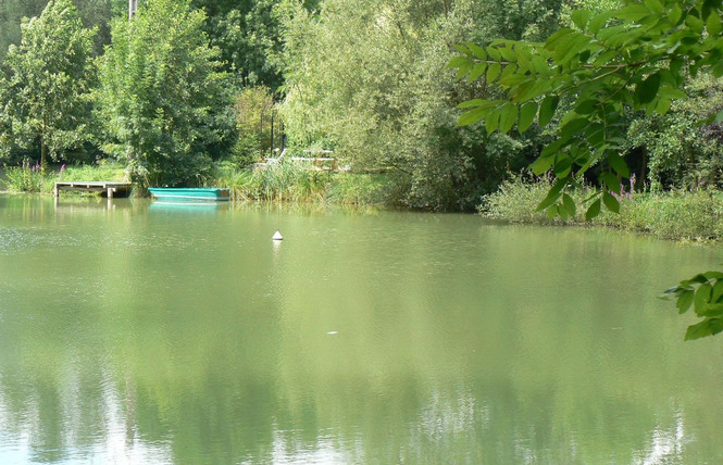 Chambres d'hôtes la maison de l'étang 5 - Sampigny