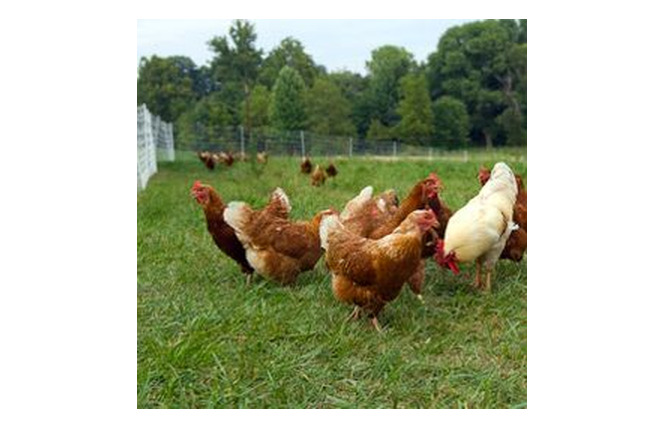 Ferme Oudinot 1 - Saint-Mihiel