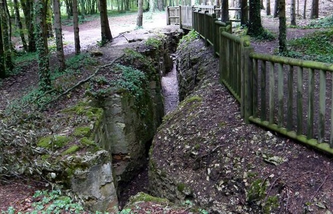 TRANCHEES DE BOIS BRULE ET CROIX DES REDOUTES 1 - Apremont-la-Forêt
