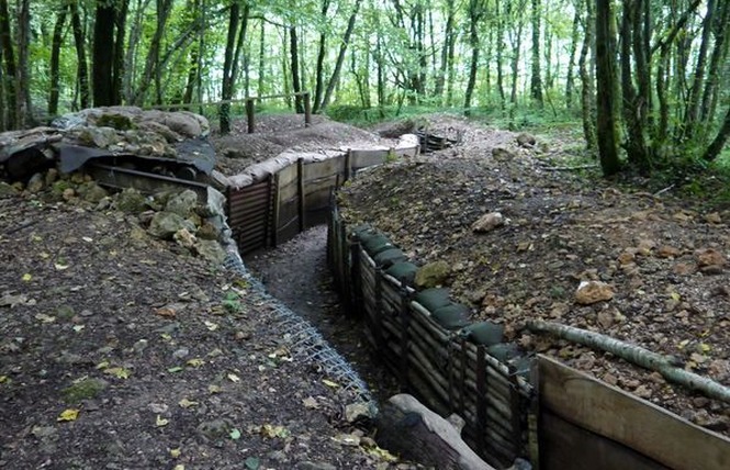 TRANCHEES DE BOIS BRULE ET CROIX DES REDOUTES 2 - Apremont-la-Forêt