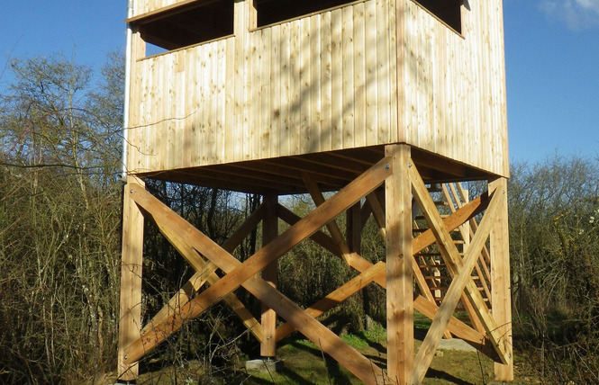 Réserve naturelle régionale de l'étang de Lachaussée 6 - Lachaussée