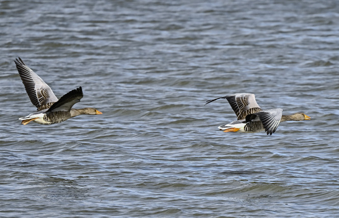 Stage photographique en bateau 3 - Nonsard-Lamarche