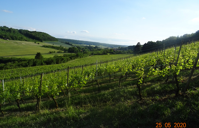 Domaine de Meussaumont 1 - Vigneulles-lès-Hattonchâtel