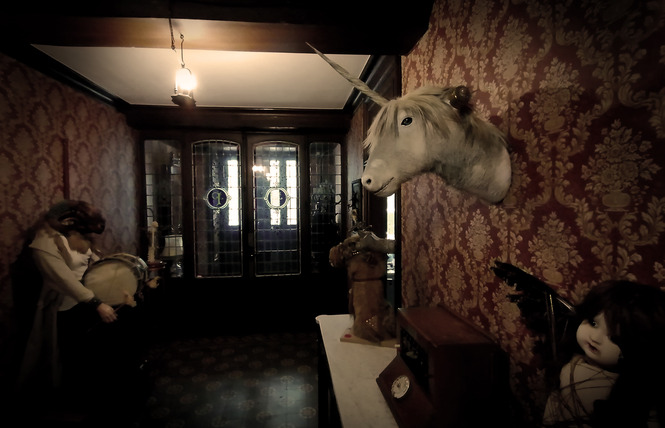 La licorne cabinet de curiosités 3 - Saint-Mihiel