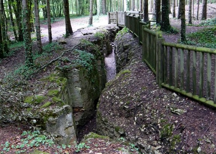 tranchee_allemande_bois_brule.JPG