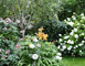Jardin sous les côtes 1 - Apremont-la-Forêt