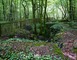 TRANCHEES DES BAVAROIS ET ROFFIGNAC 2 - Apremont-la-Forêt