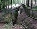 TRANCHEES DE BOIS BRULE ET CROIX DES REDOUTES 1 - Apremont-la-Forêt