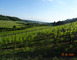 Domaine de Meussaumont 1 - Vigneulles-lès-Hattonchâtel
